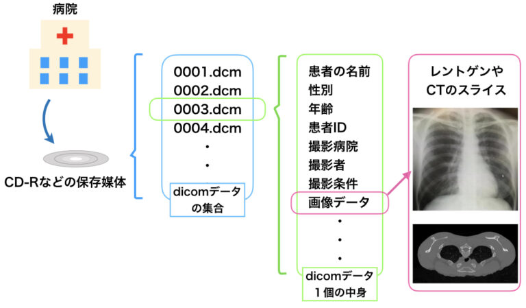 DICOMデータとはなにか｜医療のためのPythonプログラミング